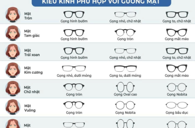 Bí Quyết Chọn Kính Phù Hợp Với Gương Mặt Tại Mắt Kính Thái Bình Dương - Mắt Kính Uy Tín Quận 3